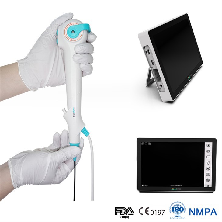 Digital Disposable Flexible Ureteroscope